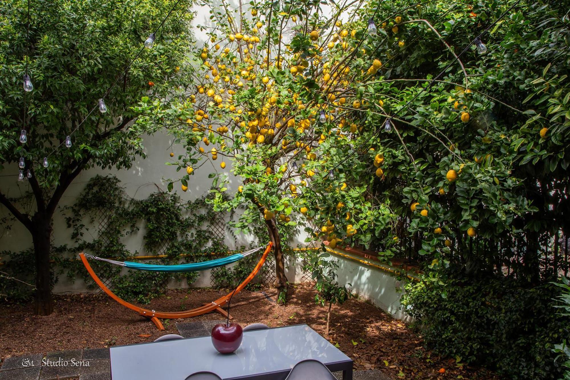 Utopia Bed & Breakfast Marigliano Zewnętrze zdjęcie